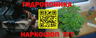 jwh Камышлов