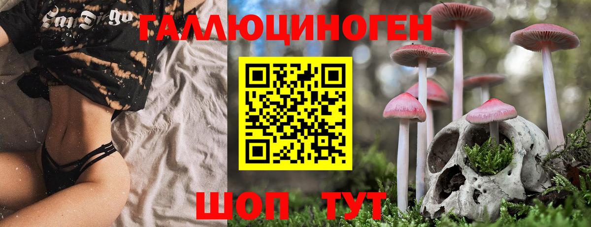 Кумертау  Псилоцибиновые грибы Magic Shrooms  Вход с VPN 